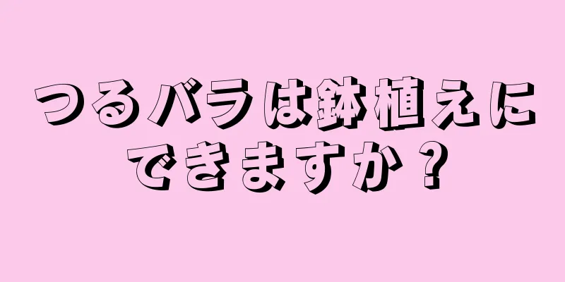 つるバラは鉢植えにできますか？