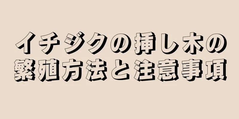 イチジクの挿し木の繁殖方法と注意事項