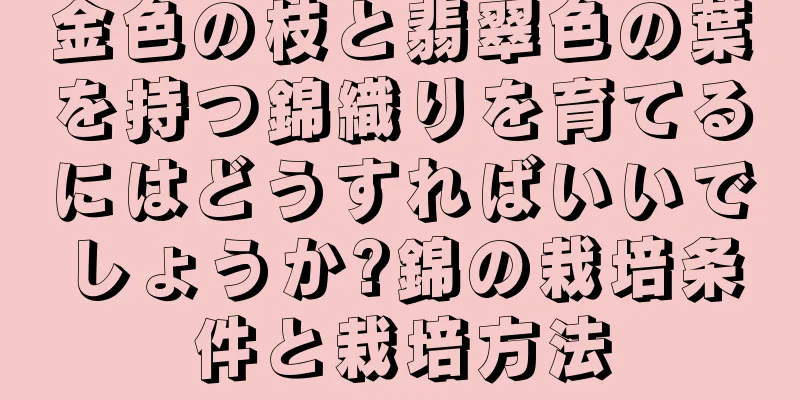 金色の枝と翡翠色の葉を持つ錦織りを育てるにはどうすればいいでしょうか?錦の栽培条件と栽培方法