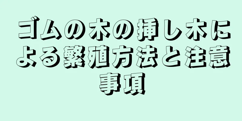 ゴムの木の挿し木による繁殖方法と注意事項
