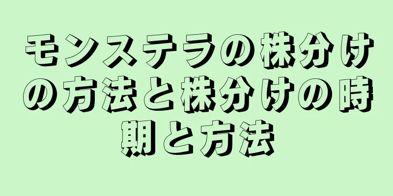 モンステラの株分けの方法と株分けの時期と方法
