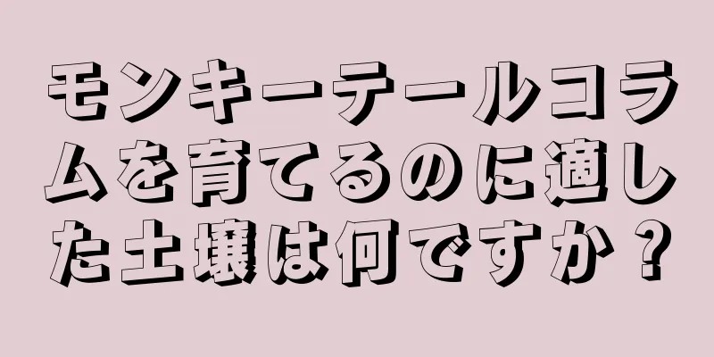 モンキーテールコラムを育てるのに適した土壌は何ですか？