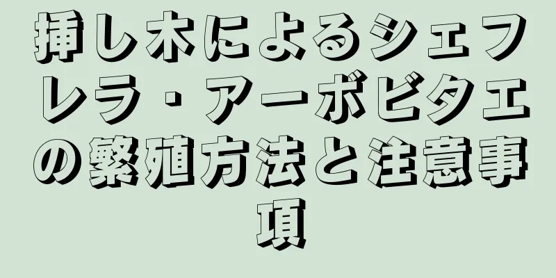 挿し木によるシェフレラ・アーボビタエの繁殖方法と注意事項