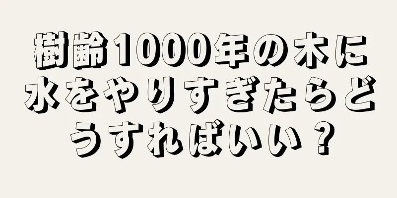 樹齢1000年の木に水をやりすぎたらどうすればいい？