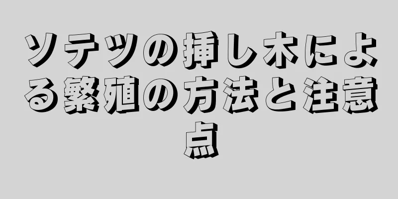 ソテツの挿し木による繁殖の方法と注意点