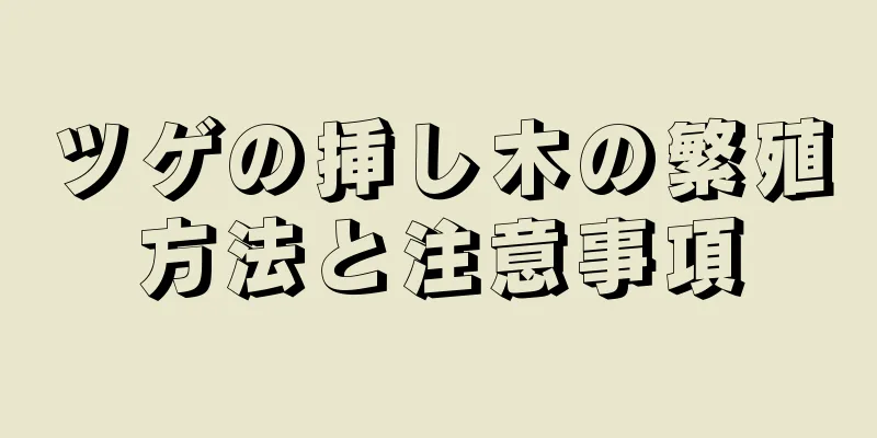 ツゲの挿し木の繁殖方法と注意事項