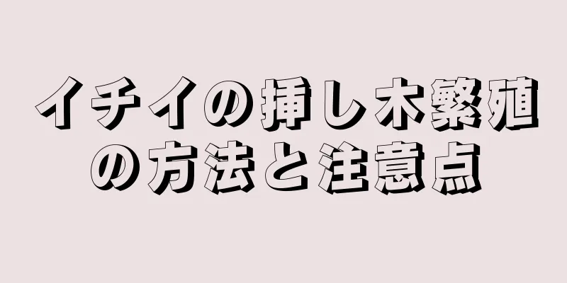 イチイの挿し木繁殖の方法と注意点