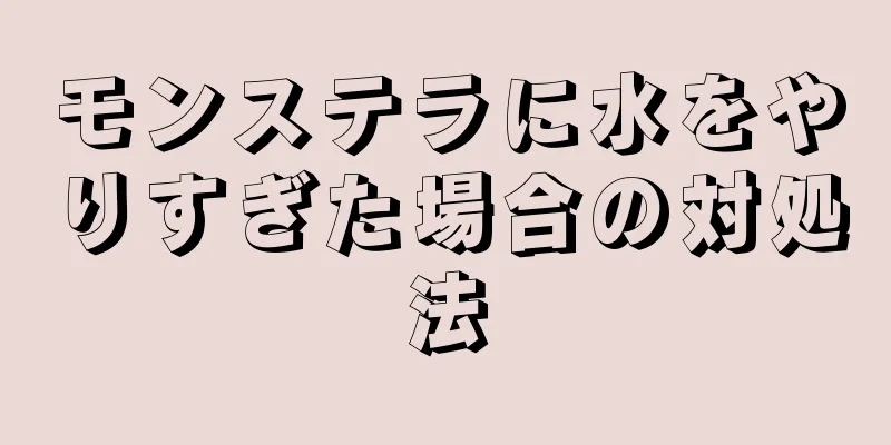 モンステラに水をやりすぎた場合の対処法