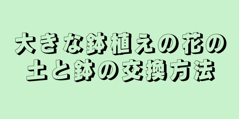 大きな鉢植えの花の土と鉢の交換方法