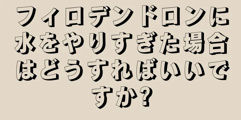 フィロデンドロンに水をやりすぎた場合はどうすればいいですか?