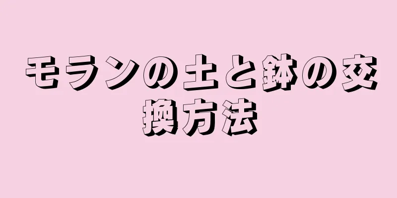 モランの土と鉢の交換方法