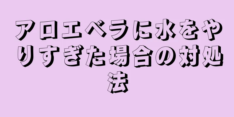 アロエベラに水をやりすぎた場合の対処法