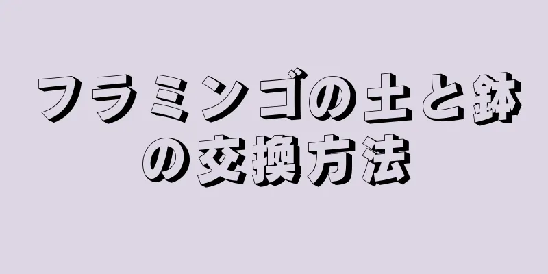 フラミンゴの土と鉢の交換方法