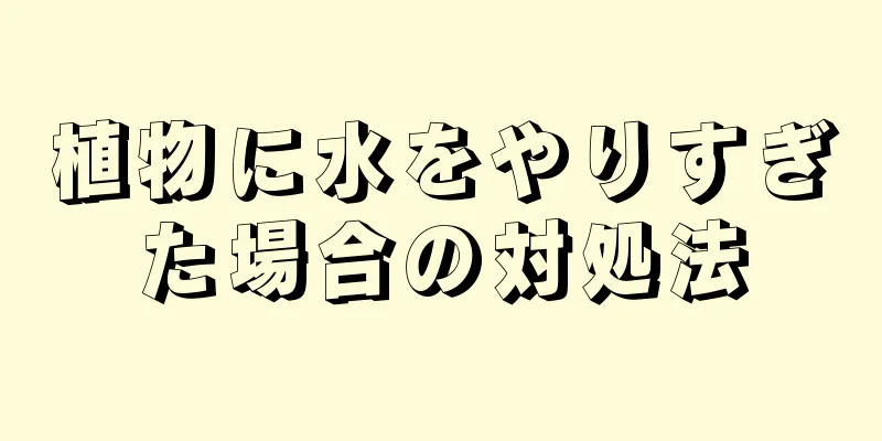 植物に水をやりすぎた場合の対処法