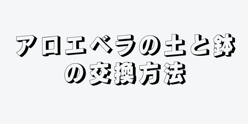 アロエベラの土と鉢の交換方法