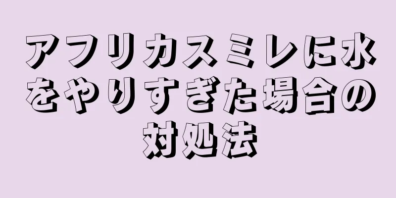 アフリカスミレに水をやりすぎた場合の対処法