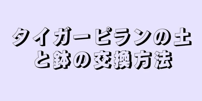 タイガーピランの土と鉢の交換方法