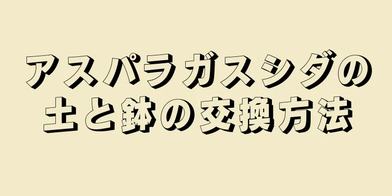 アスパラガスシダの土と鉢の交換方法