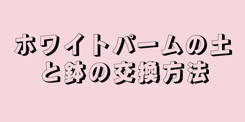 ホワイトパームの土と鉢の交換方法