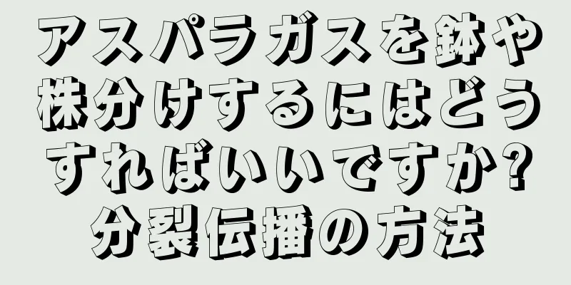 アスパラガスを鉢や株分けするにはどうすればいいですか?分裂伝播の方法