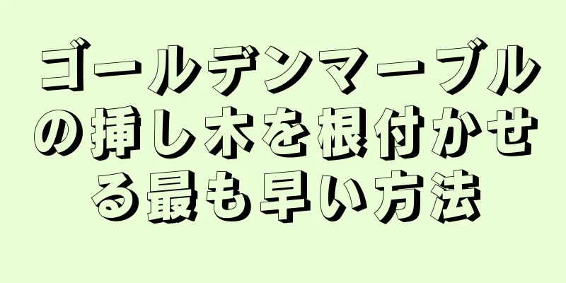 ゴールデンマーブルの挿し木を根付かせる最も早い方法