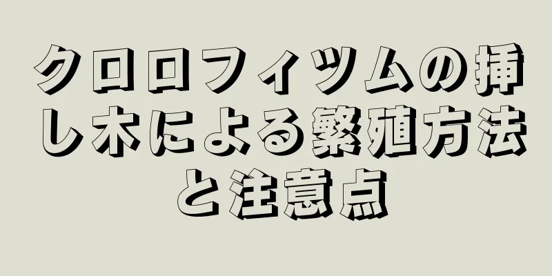 クロロフィツムの挿し木による繁殖方法と注意点