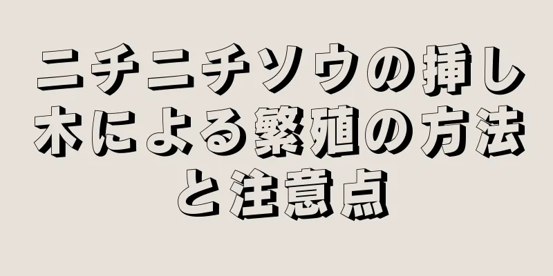ニチニチソウの挿し木による繁殖の方法と注意点