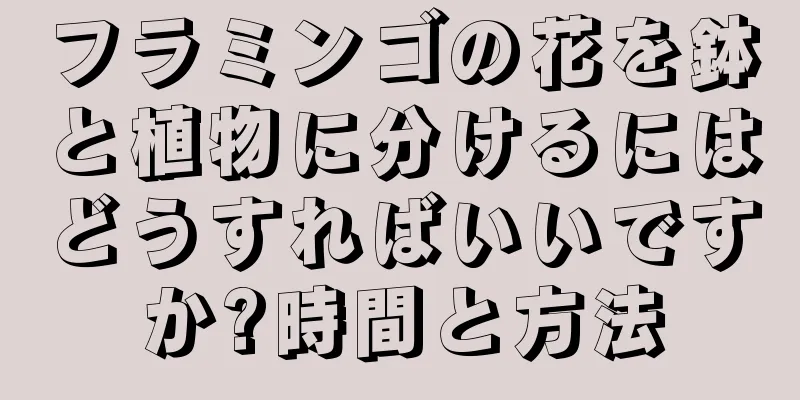 フラミンゴの花を鉢と植物に分けるにはどうすればいいですか?時間と方法