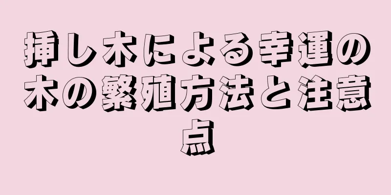 挿し木による幸運の木の繁殖方法と注意点