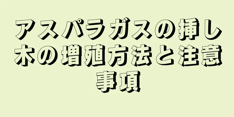 アスパラガスの挿し木の増殖方法と注意事項