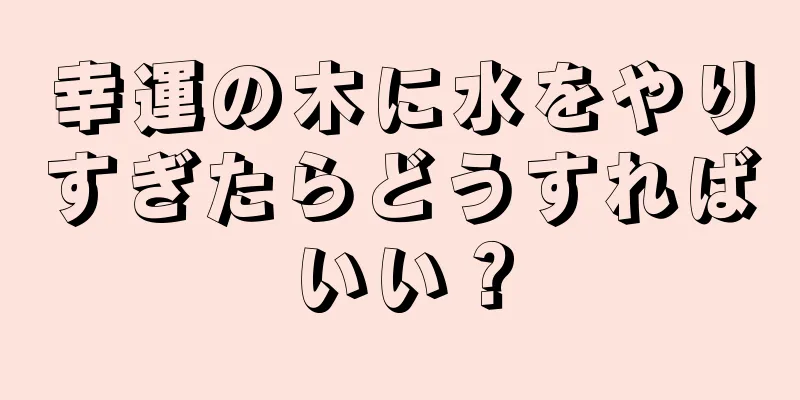 幸運の木に水をやりすぎたらどうすればいい？