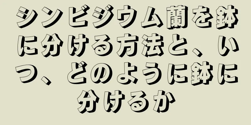 シンビジウム蘭を鉢に分ける方法と、いつ、どのように鉢に分けるか