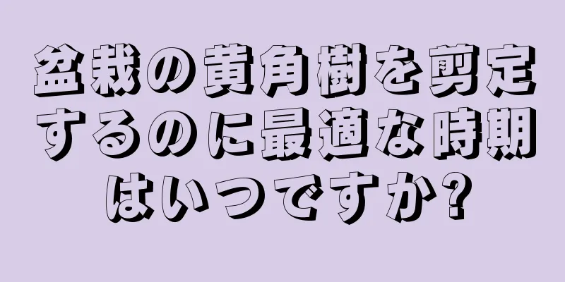 盆栽の黄角樹を剪定するのに最適な時期はいつですか?