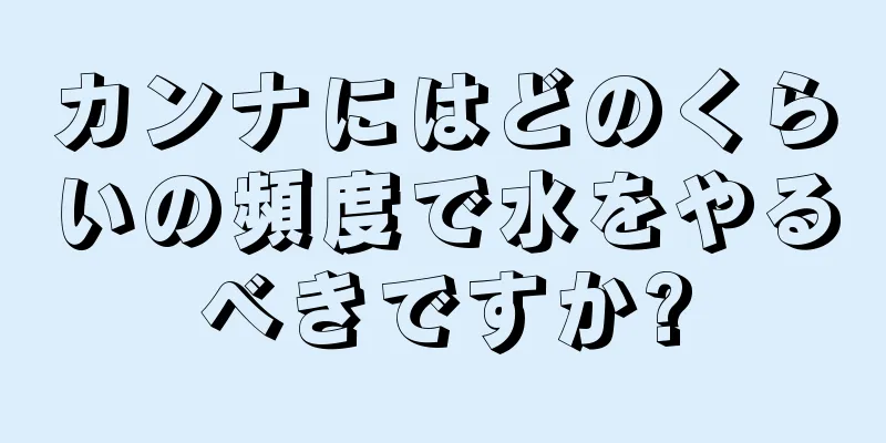 カンナにはどのくらいの頻度で水をやるべきですか?