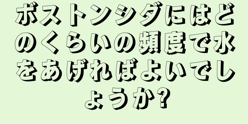 ボストンシダにはどのくらいの頻度で水をあげればよいでしょうか?