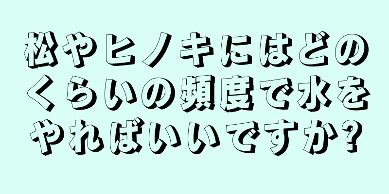 松やヒノキにはどのくらいの頻度で水をやればいいですか?