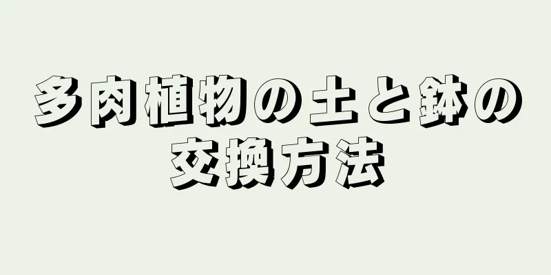 多肉植物の土と鉢の交換方法