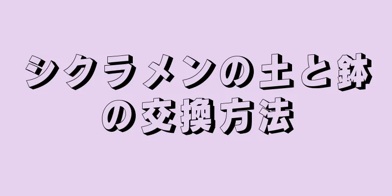 シクラメンの土と鉢の交換方法