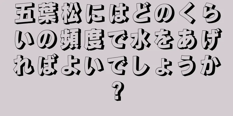 五葉松にはどのくらいの頻度で水をあげればよいでしょうか?