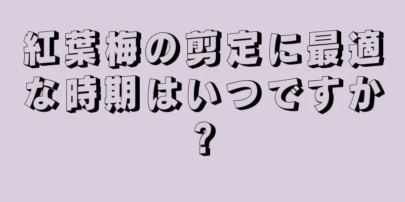 紅葉梅の剪定に最適な時期はいつですか?