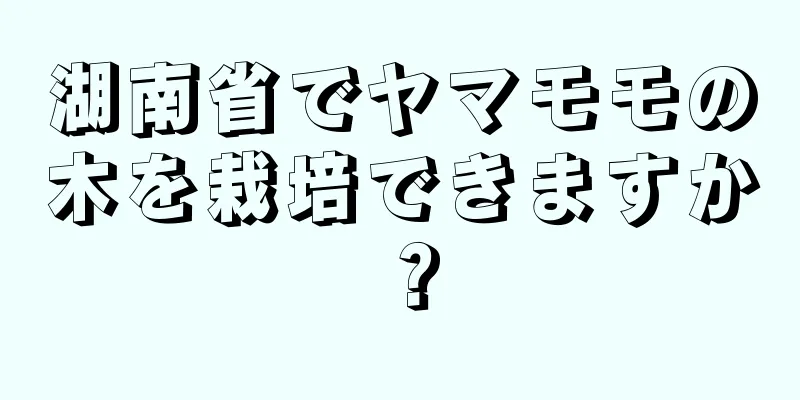 湖南省でヤマモモの木を栽培できますか？
