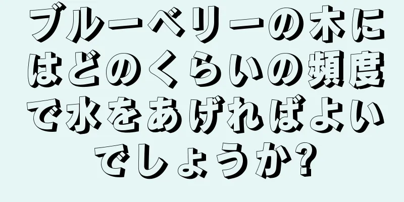 ブルーベリーの木にはどのくらいの頻度で水をあげればよいでしょうか?