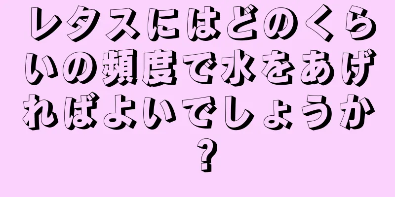 レタスにはどのくらいの頻度で水をあげればよいでしょうか？