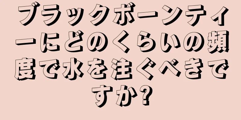 ブラックボーンティーにどのくらいの頻度で水を注ぐべきですか?