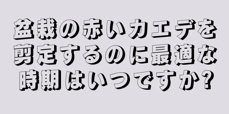 盆栽の赤いカエデを剪定するのに最適な時期はいつですか?