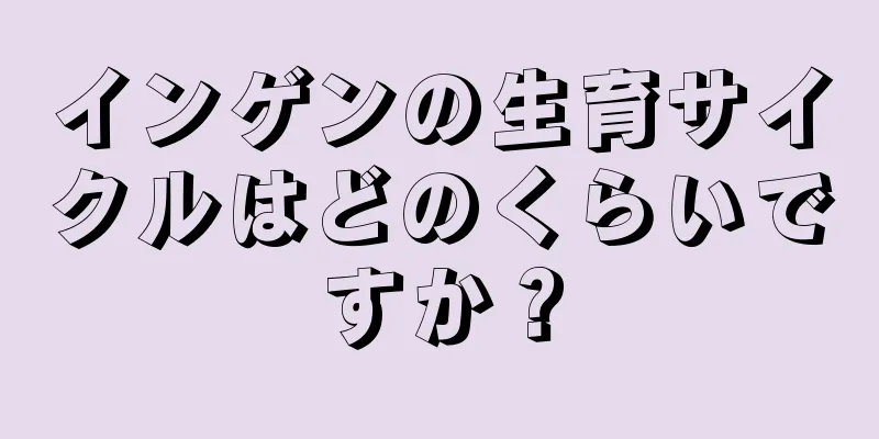 インゲンの生育サイクルはどのくらいですか？