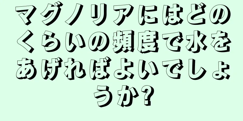 マグノリアにはどのくらいの頻度で水をあげればよいでしょうか?