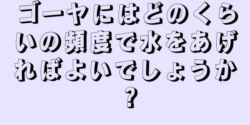 ゴーヤにはどのくらいの頻度で水をあげればよいでしょうか？