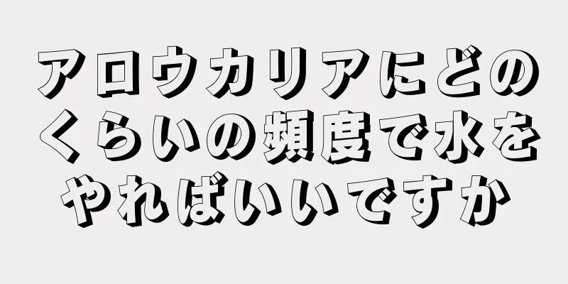 アロウカリアにどのくらいの頻度で水をやればいいですか