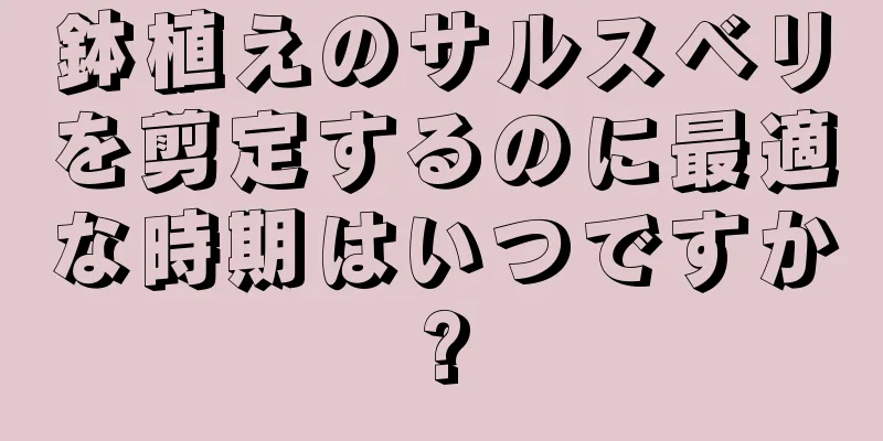 鉢植えのサルスベリを剪定するのに最適な時期はいつですか?